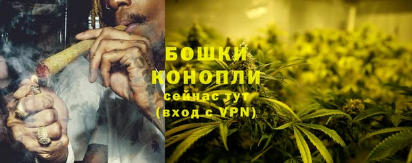 PSILOCYBIN Сафоново