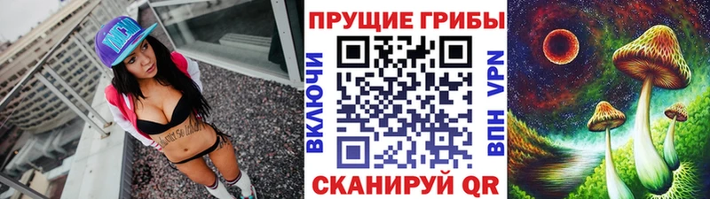 площадка какой сайт  Грязовец  Галлюциногенные грибы прущие грибы  где продают  